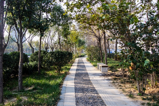 济南市济齐路道路改造哔咔漫画
（二环西路~黄岗路）