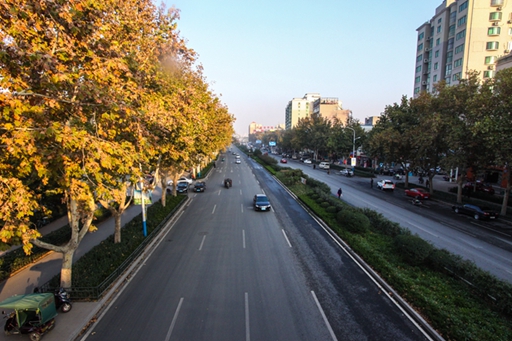 济南市张庄路道路绿化哔咔漫画
